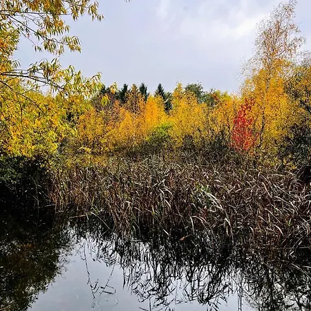 Chalet Secluded Rustic - A Digital Detox Paradise. *