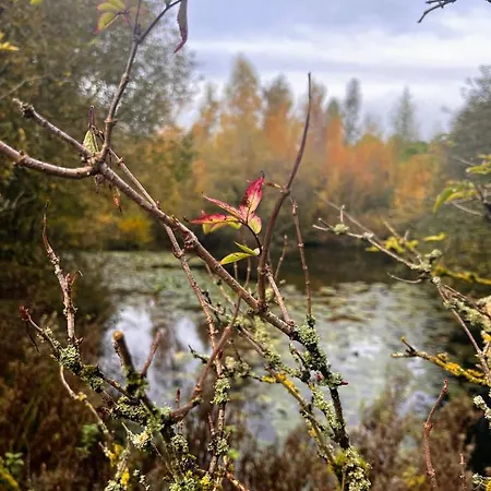 Chalet Secluded Rustic - A Digital Detox Paradise. *