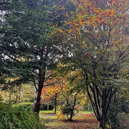 Secluded Rustic - A Digital Detox Paradise. * York