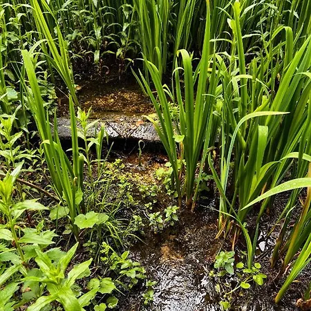 Secluded Rustic - A Digital Detox Paradise. *