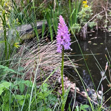 Secluded Rustic - A Digital Detox Paradise. Chalet York