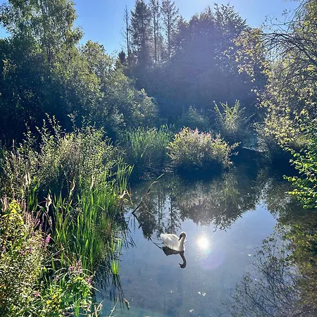 Secluded Rustic - A Digital Detox Paradise. *
