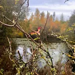 샬레 Secluded Rustic - A Digital Detox Paradise. *