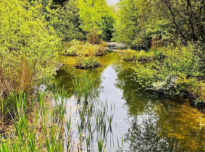 Secluded Rustic - A Digital Detox Paradise. * York