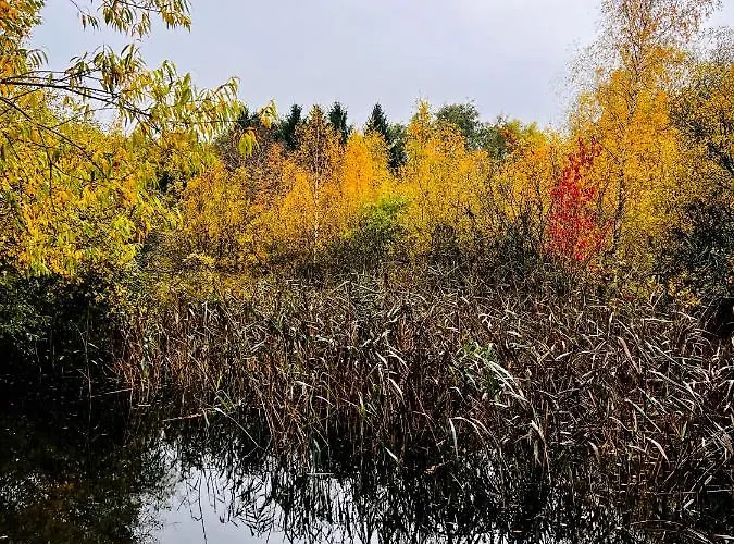 Chalet Secluded Rustic - A Digital Detox Paradise. *