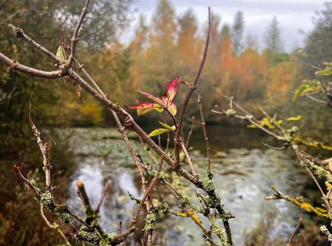 Chalet Secluded Rustic - A Digital Detox Paradise. *