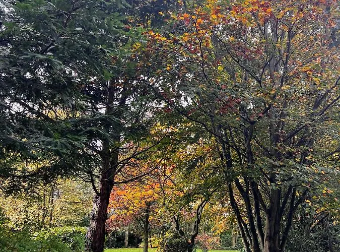 Secluded Rustic - A Digital Detox Paradise. * York