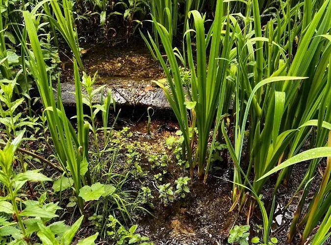 Secluded Rustic - A Digital Detox Paradise. *