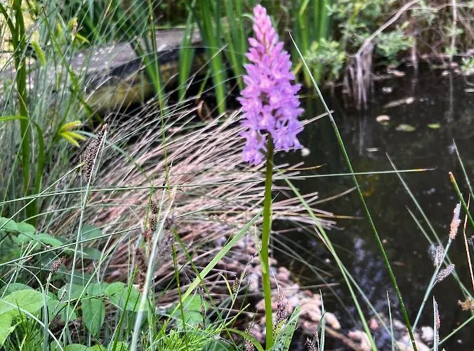 Secluded Rustic - A Digital Detox Paradise. Chalet York