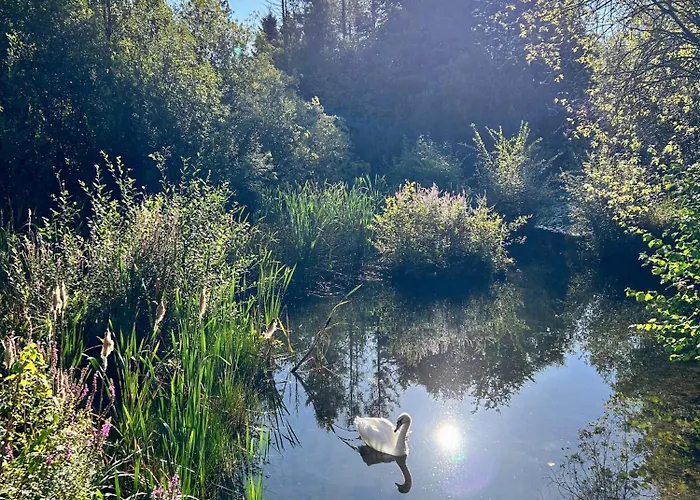Secluded Rustic - A Digital Detox Paradise. *