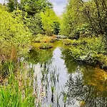 Secluded Rustic - A Digital Detox Paradise. * York