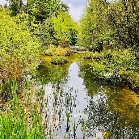 Secluded Rustic - A Digital Detox Paradise. * York